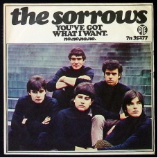 SORROWS You've Got What I Want / No No No No No (Piccadilly 35277) UK 1965 PS 45